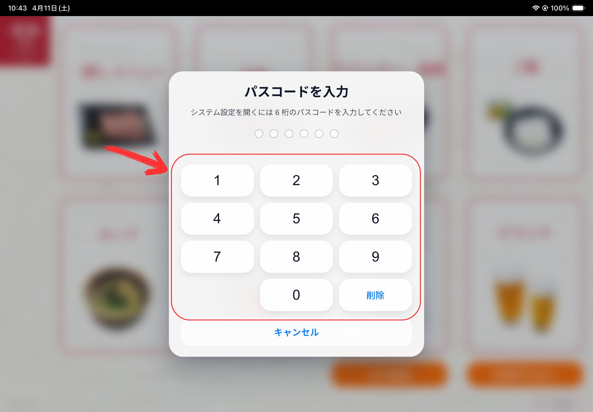 システム設定のパスコード入力